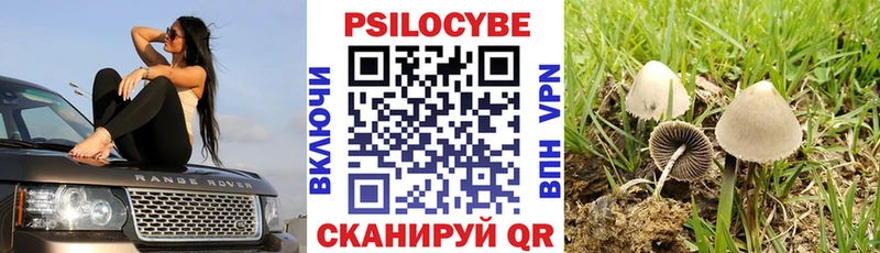 Галлюциногенные грибы ЛСД  Купить  Сокол 
